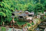 BALI & INDONESIA - Quality Group