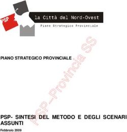 PSP-SINTESI DEL METODO E DEGLI SCENARI ASSUNTI - Febbraio 2009 - PIANO STRATEGICO PROVINCIALE
