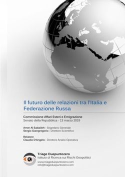 Il futuro delle relazioni tra l'Italia e la Federazione Russa - Senato