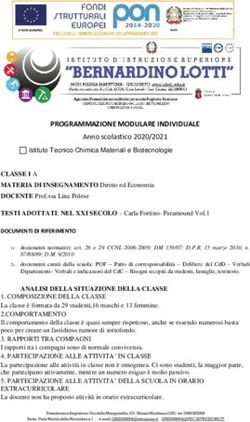 PROGRAMMAZIONE MODULARE INDIVIDUALE - Anno scolastico 2020/2021