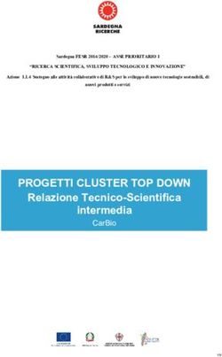 PROGETTI CLUSTER TOP DOWN - Relazione Tecnico-Scientifica intermedia - P-arch