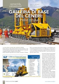GALLERIA DI BASE cementi& calcestruzzi - Blend Plants