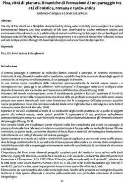 Pisa, citt&agrave; di pianura. Dinamiche di formazione di un paesaggio tra et&agrave; ellenistica, romana e tardo-antica