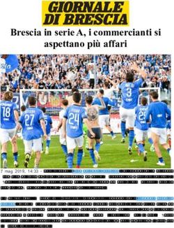 Brescia in serie A, i commercianti si aspettano più affari - Format Research