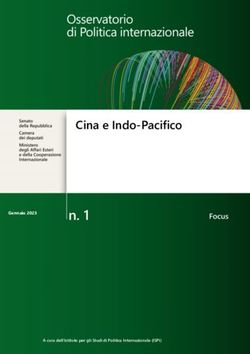 N. 1 Cina e Indo-Pacifico - Parlamento Italiano