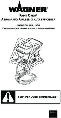 PAINT CREW AEROGRAFO AIRLESS DI ALTA EFFICIENZA - ! NON PER L'USO COMMERCIALE !