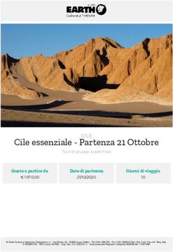 Cile essenziale - Partenza 21 Ottobre - CILE - Earth Viaggi