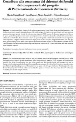 Contributo alla conoscenza dei chirotteri dei boschi del comprensorio del progetto di Parco nazionale del Locarnese (Svizzera)