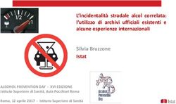 L'incidentalit&agrave; stradale alcol correlata: l'utilizzo di archivi ufficiali esistenti e alcune esperienze internazionali Silvia Bruzzone Istat ...