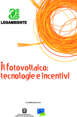 Il Fotovoltaico: tecnologie e incentivi
