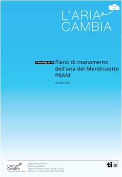Piano di risanamento dell'aria del Mendrisiotto - PRAM