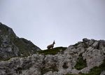 Il cammino dell'Orso - PROGRAMMA DI VIAGGIO - Trek di cinque giorni in Abruzzo - Trekking-italia.it