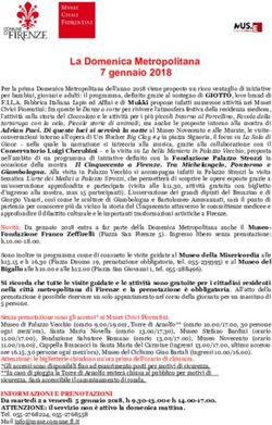 La Domenica Metropolitana 7 gennaio 2018 - Comune di Firenze
