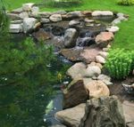 La cura dell'acqua nel laghetto da giardino - Guida completa - Per maggiori informazioni: www.tetraitalia.it numero verde 800 257496