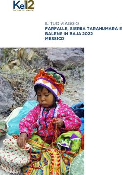 FARFALLE, SIERRA TARAHUMARA E BALENE IN BAJA 2022 MESSICO - IL TUO VIAGGIO "Image:Lo gotipo" - Kel 12