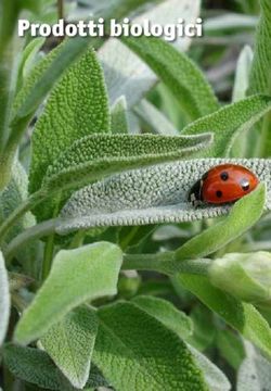 Prodotti biologici - Ingegnoli