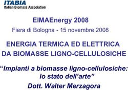 ENERGIA TERMICA ED ELETTRICA - Fiera di Bologna - 15 novembre 2008 DA BIOMASSE LIGNO-CELLULOSICHE