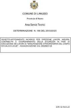 Area Servizi Tecnici COMUNE DI LANUSEI