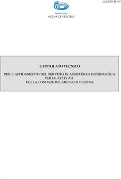 CAPITOLATO TECNICO PER L'AFFIDAMENTO DEL SERVIZIO DI ASSISTENZA INFORMATICA PER LE ATTIVITA' DELLA FONDAZIONE ARENA DI VERONA