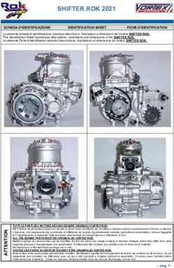 SHIFTER ROK 2021 - RokCup