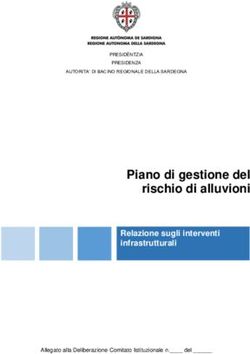 Piano di gestione del rischio di alluvioni - Relazione sugli interventi infrastrutturali