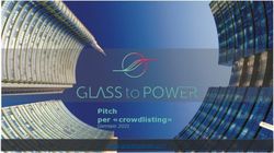 Pitch per "crowdlisting" - Gennaio 2021 www.glasstopower.com - Glass to Power