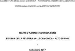 PIANO D'AZIONE E COOPERAZIONE RISERVA DELLA BIOSFERA VALLE CAMONICA - ALTO SEBINO - Settembre 2017 - CANDIDATURA DELLA VALLE CAMONICA - ALTO ...