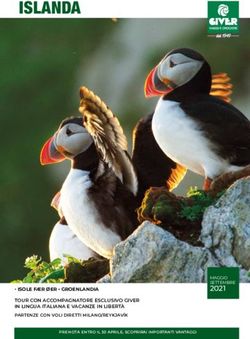 ISLANDA - 2021 MAGGIO SETTEMBRE - Giver Viaggi