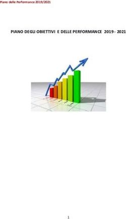 PIANO DEGLI OBIETTIVI E DELLE PERFORMANCE 2019 2021 - Piano delle Performance 2019/2021