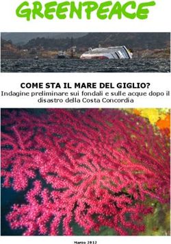 COME STA IL MARE DEL GIGLIO? - Indagine preliminare sui fondali e sulle acque dopo il disastro della Costa Concordia