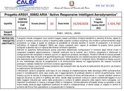 Progetto ARS01_00882 ARIA "Active Responsive Intelligent Aerodynamics" - il Consorzio CALEF