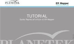 TUTORIAL Guida Rapida all'utilizzo di ER Mapper - Planetek Italia