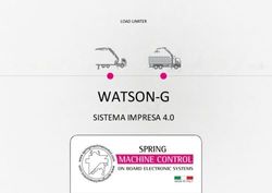 WATSON-G SISTEMA IMPRESA 4.0 - LOAD LIMITER - Marchesi Gru