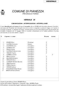 COMUNE DI PIANEZZA PROVINCIA DI TORINO - Comune ...