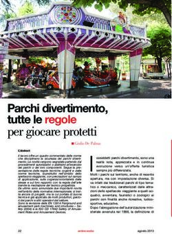 PARCHI DIVERTIMENTO, TUTTE LE REGOLE - PER GIOCARE PROTETTI - INSIC