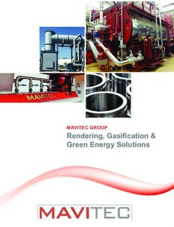 Rendering, Gasifi cation & Green Energy Solutions - MAVITEC GROUP - Mavitec Green ...