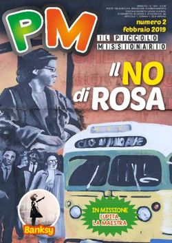 Di ROSA Il NO numero 2 febbraio 2019 - Fondazione Nigrizia