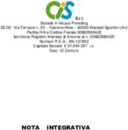 NOTA INTEGRATIVA - CIS Srl