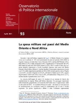 La spesa militare nei paesi del Medio Oriente e Nord Africa