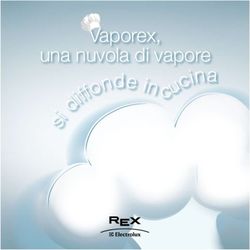 C Vaporex, una nuvola di vapore