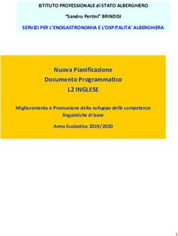 L2 INGLESE Nuova Pianificazione Documento Programmatico