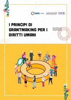 I Principi di Grantmaking per i Diritti Umani - TS