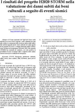 I risultati del progetto H2020 STORM nella valutazione dei danni subiti dai beni culturali a seguito di eventi sismici