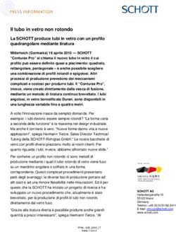 Il tubo in vetro non rotondo - La SCHOTT produce tubi in vetro con un profilo quadrangolare mediante tiratura - oha communication