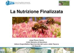 La Nutrizione Finalizzata - Jorge Rivera Gomis Unità Operativa di Apicoltura Istituto Zooprofilattico Sperimentale del Lazio e della Toscana ...
