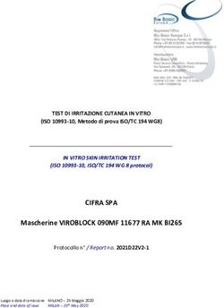 CIFRA SPA Mascherine VIROBLOCK 090MF 11677 RA MK BI265