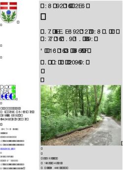 Comune di Vezia Valorizzazione del comparto Bolla di San Martino Studio di fattibilità Rapporto tecnico - PS Vezia
