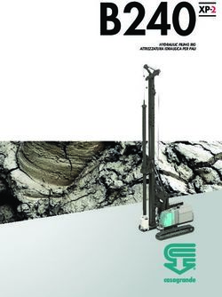 B240 HYDRAULIC PILING RIG ATTREZZATURA IDRAULICA PER PALI - Casagrande