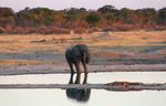 ZIMBABWE - NAMIBIA - BOTSWANA - I Viaggi di Maurizio Levi