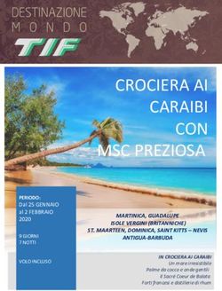 CROCIERA AI CARAIBI CON MSC PREZIOSA - Agenzia Viaggi TIF Viaggi